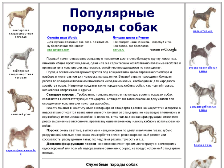 www.poroda-sobak.ru