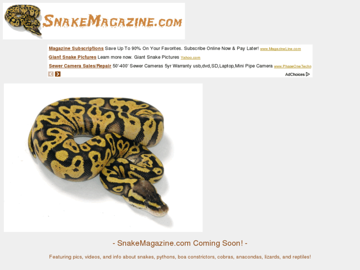 www.snakemagazine.com