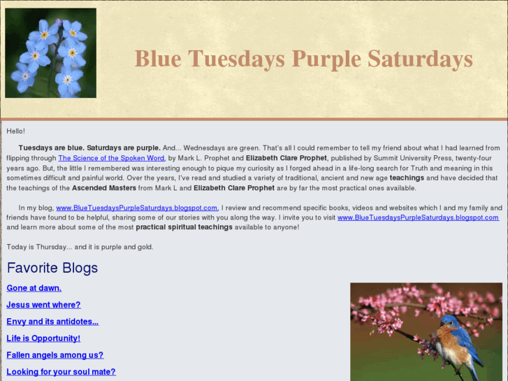 www.bluetuesdayspurplesaturdays.com