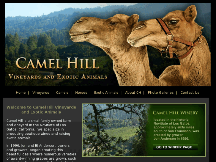 www.camelhillvineyard.com