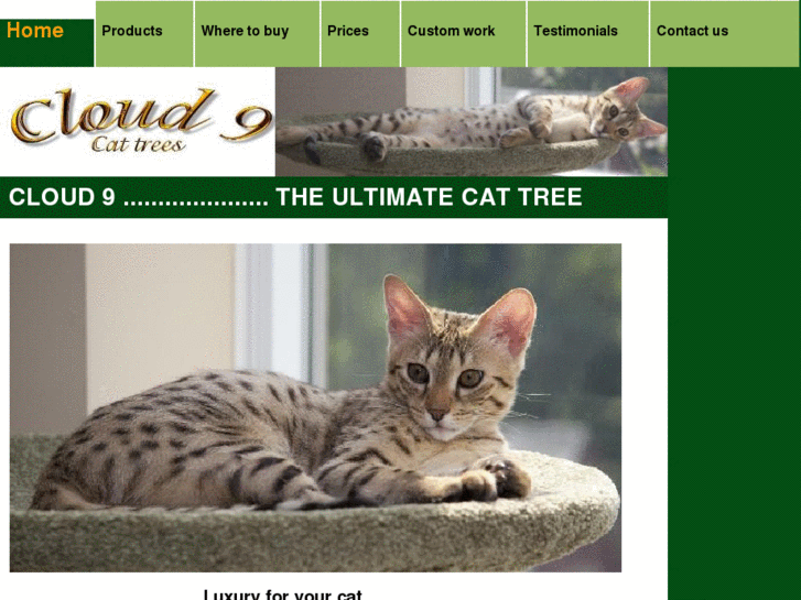 www.cloudninecattrees.com