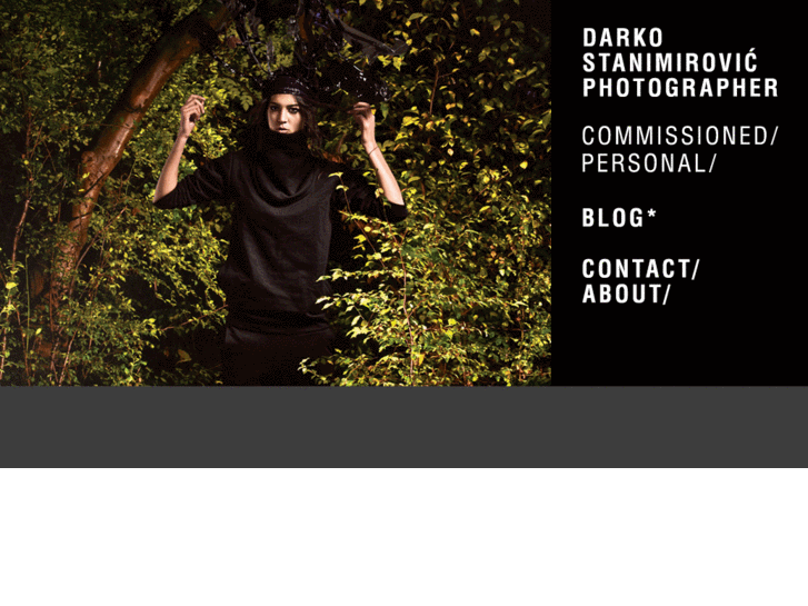 www.darkostanimirovic.com