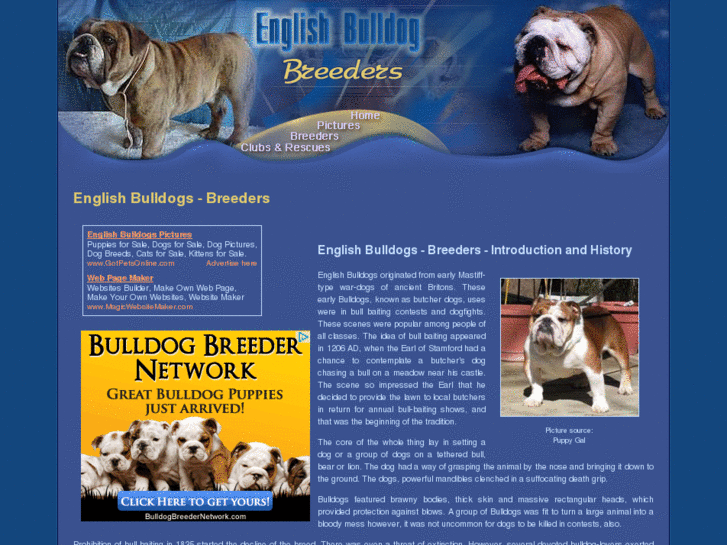 www.english-bulldog-breeders.org