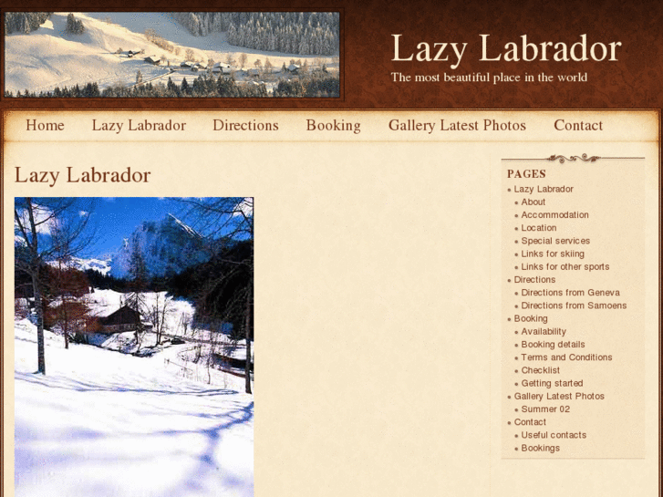 www.lazylabrador.com