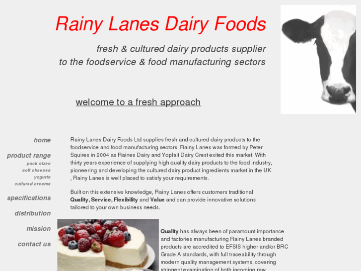 www.rainylanes.com