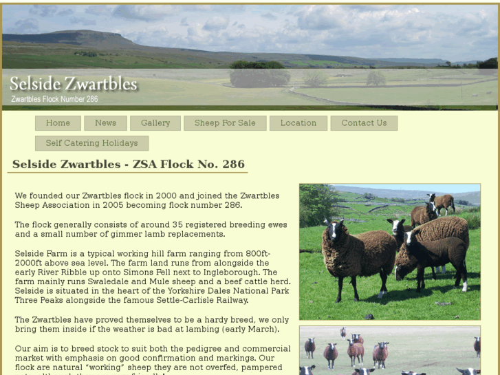 www.selside-zwartbles.co.uk