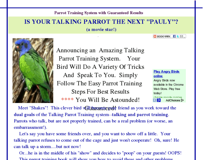 www.talkyparrot.com