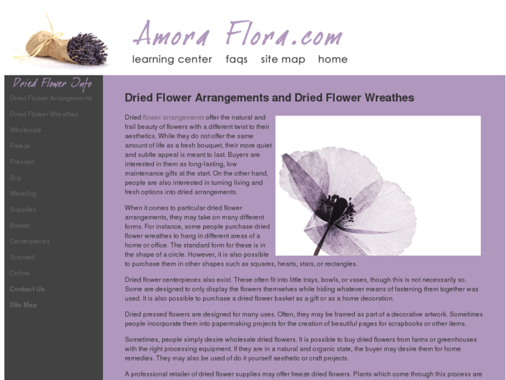 www.amoraflora.com