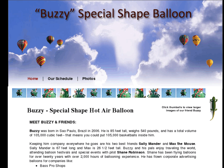 www.buzzyballoon.com