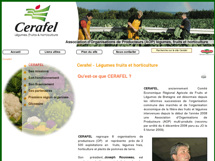 www.cerafel.com