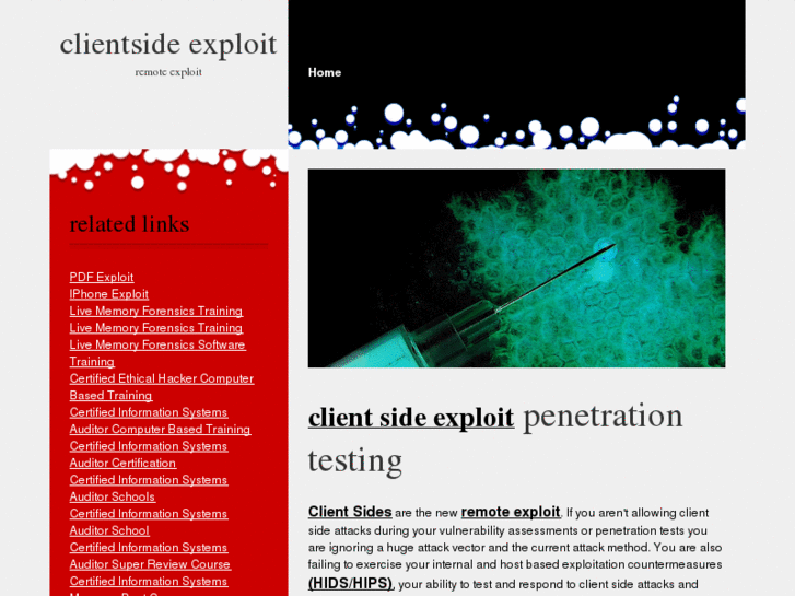 www.clientsideexploit.com