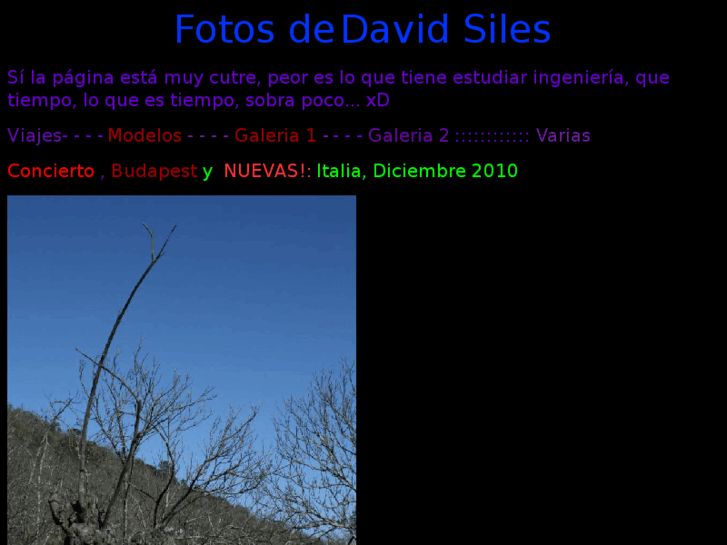 www.davidsiles.es