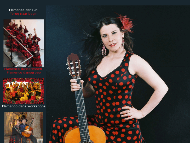 www.flamenco-dans.nl
