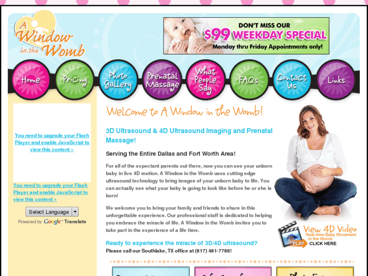 www.awindowinthewomb.com