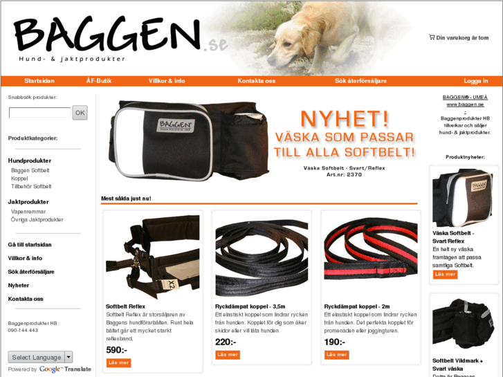 www.baggen.se