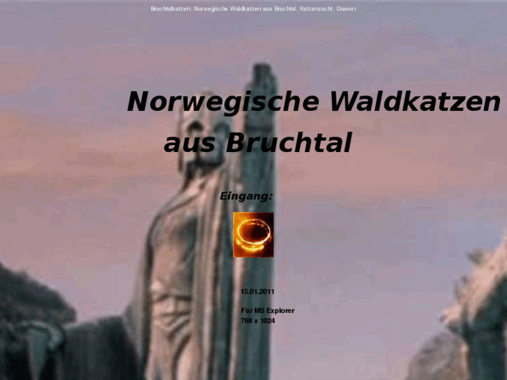 www.bruchtalkatzen.de