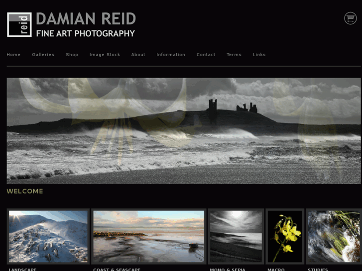 www.damianreid.com