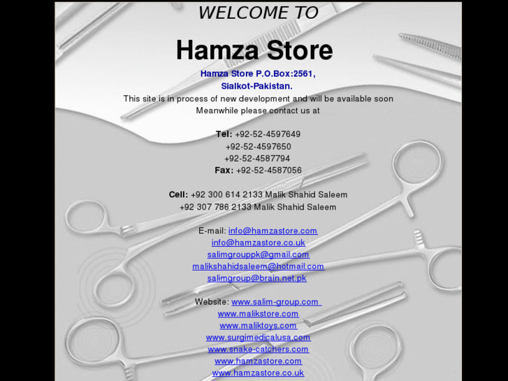 www.hamzastore.com