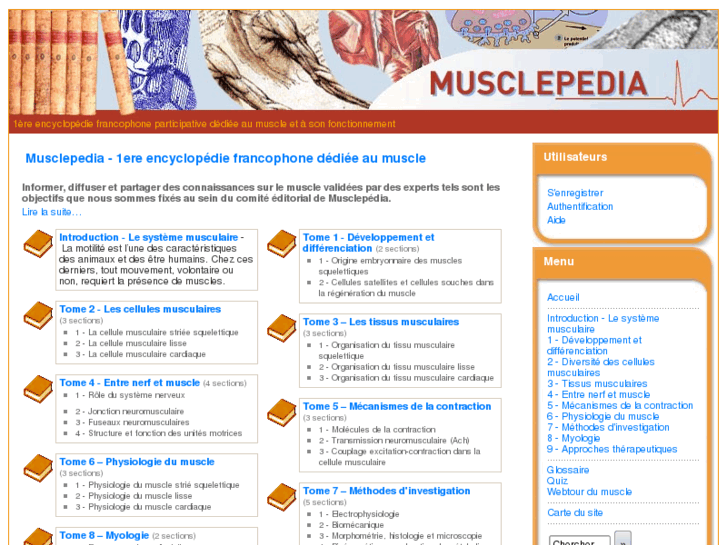 www.musclepedia.org