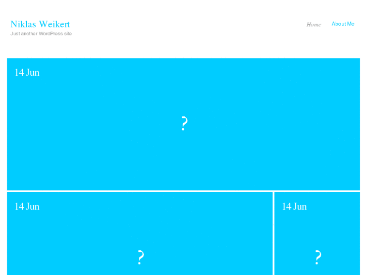 www.niklasweikert.com