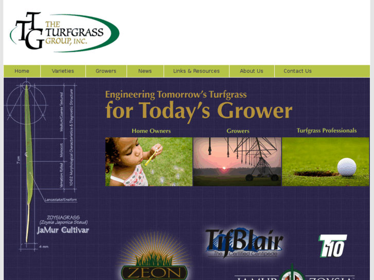 www.theturfgrassgroup.com