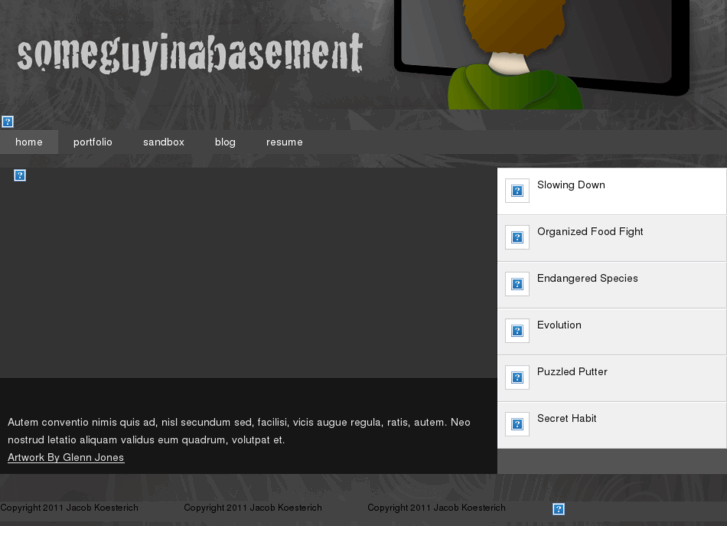 www.someguyinabasement.com