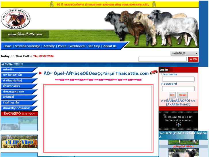 www.thaicattle.net