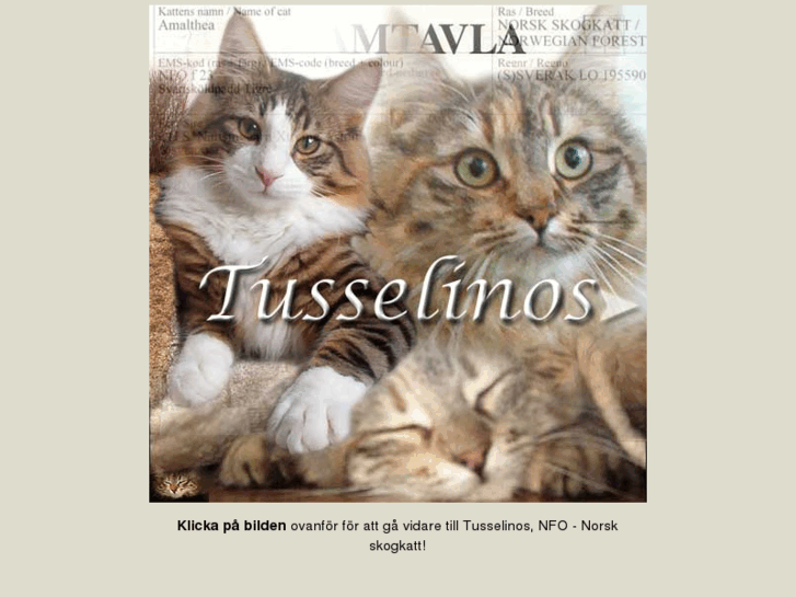 www.tusselinos.net