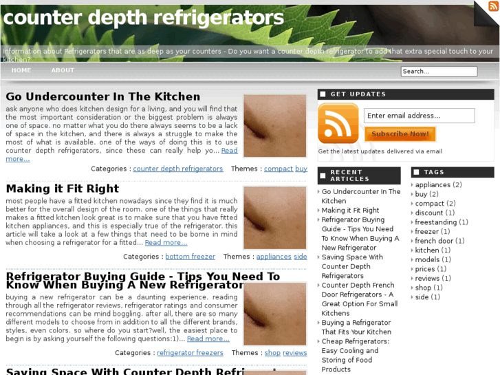 www.counterdepthrefrigerators.net