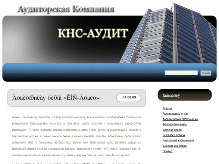 www.kns-audit.net