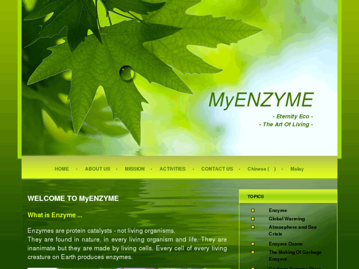 www.myenzyme.com