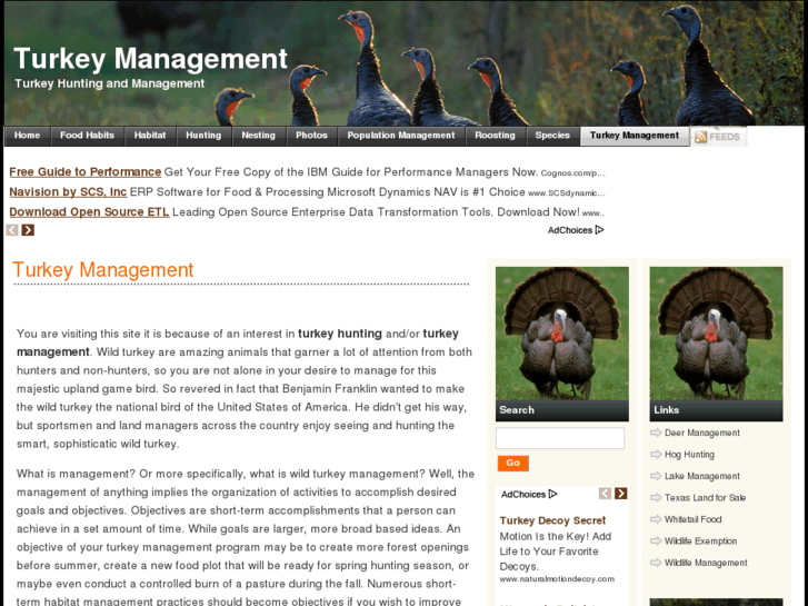 www.turkeymanagement.com