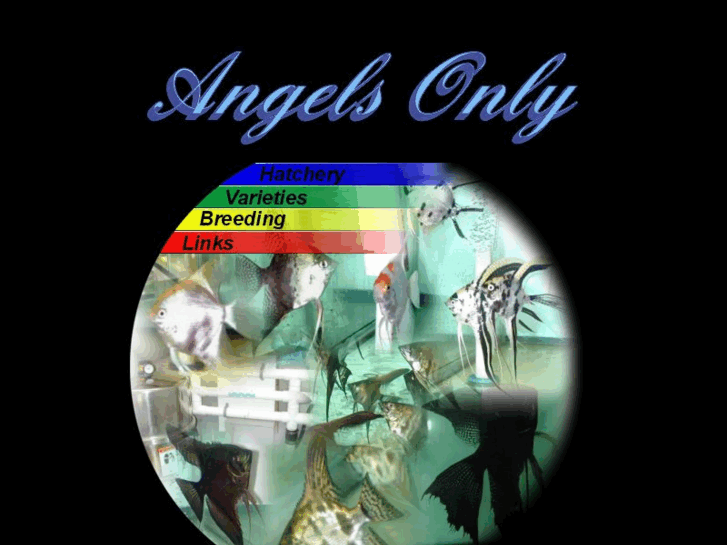 www.angelsonly.com