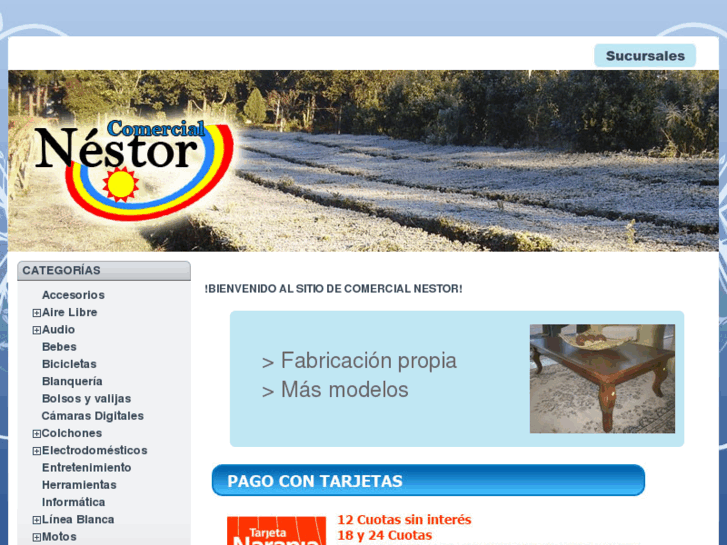 www.comercialnestor.com