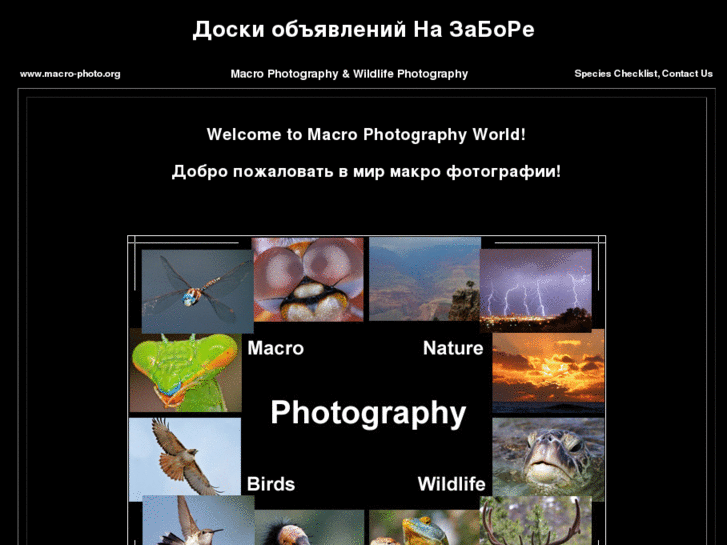 www.macro-photo.org