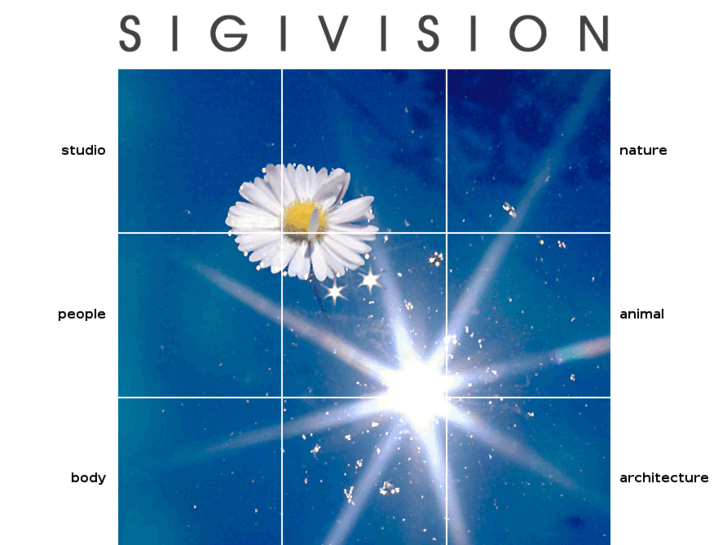 www.sigivision.com