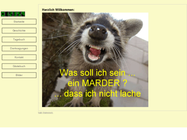 www.waschbaerchen.com