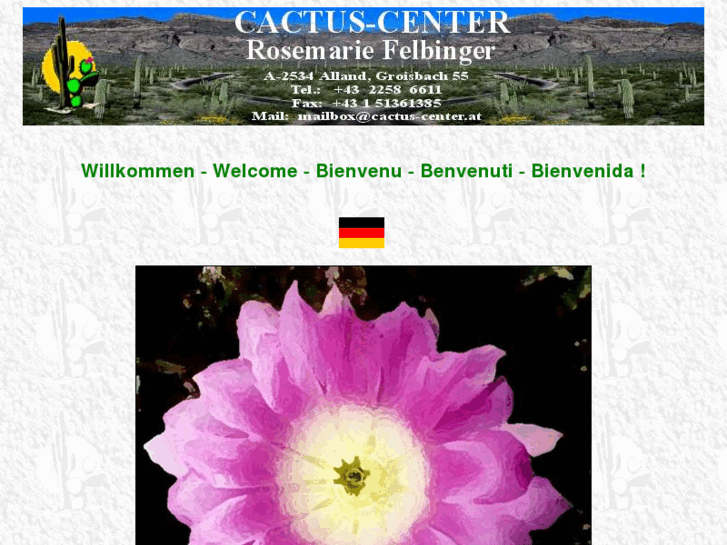 www.cactus-center.com