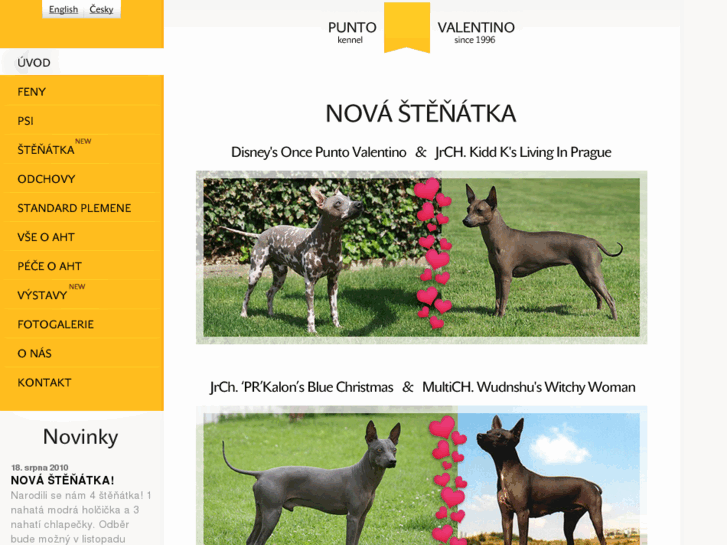 www.puntovalentino.com