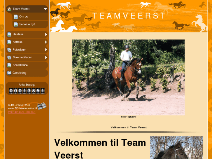 www.teamveerst.dk