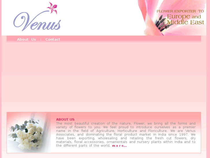 www.venusassociates.com