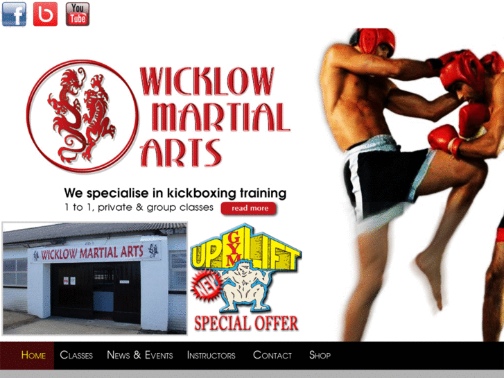 www.wicklowmartialarts.com