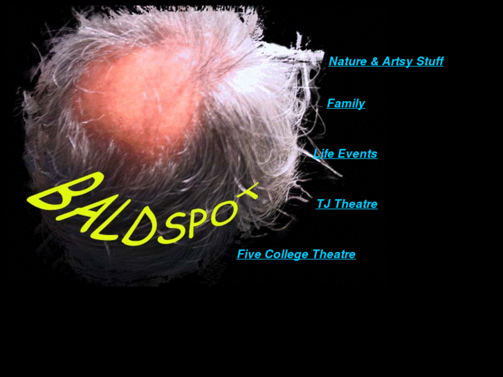www.baldspot.net