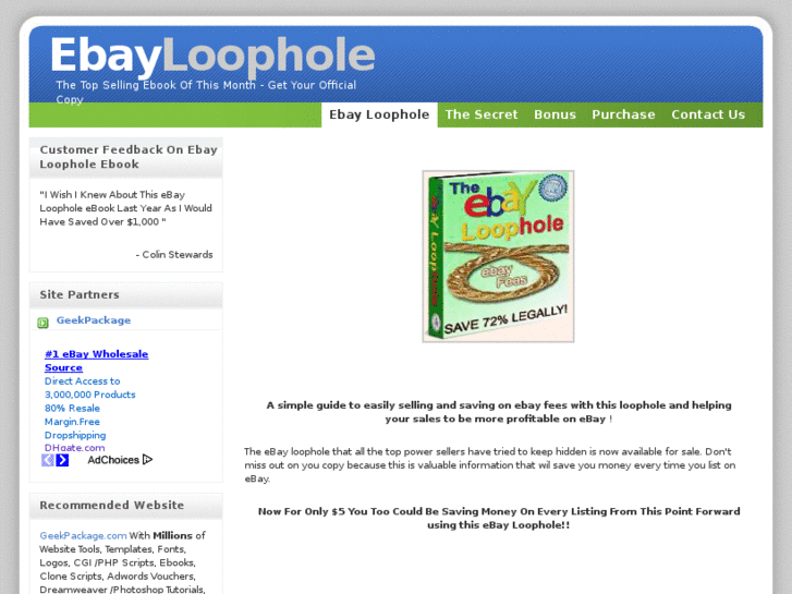 www.ebayloophole.com