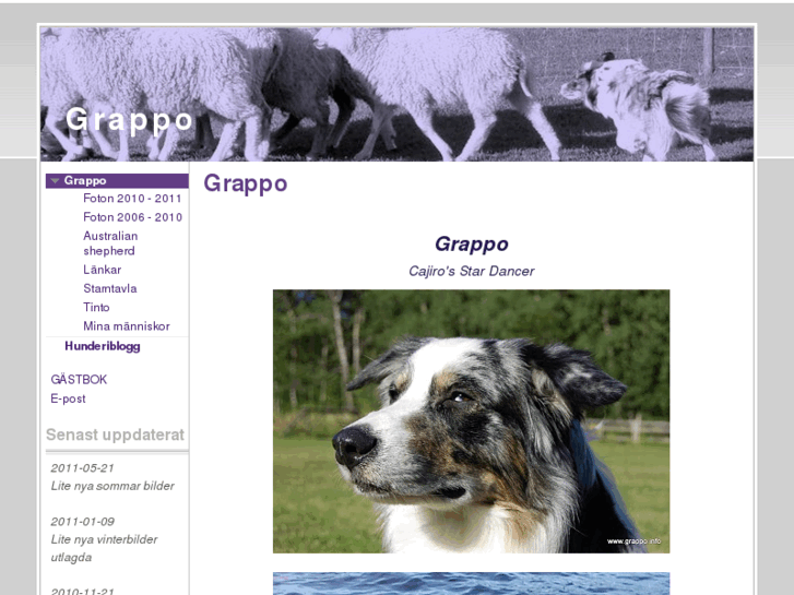 www.grappo.info