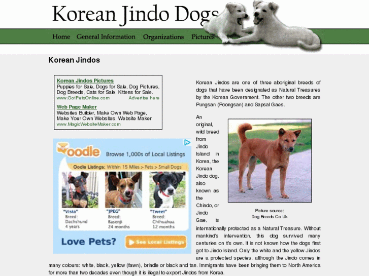 www.korean-jindo-dogs.com