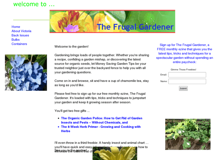 www.myfrugalgardener.com