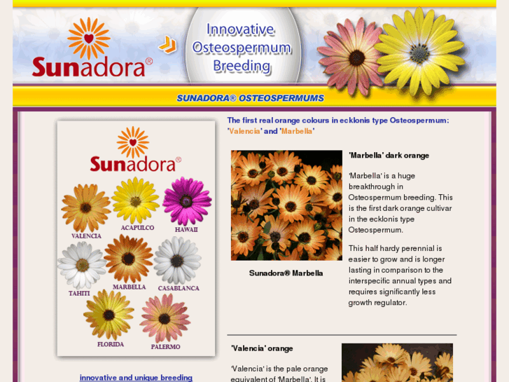 www.sunadora.info