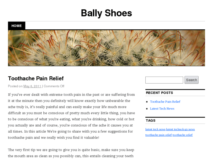 www.ballyshoes.net