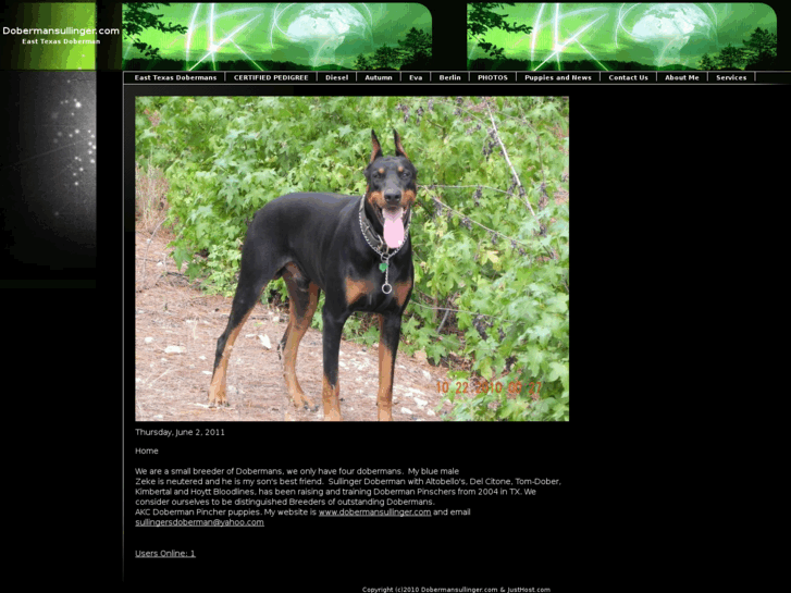 www.dobermansullinger.com